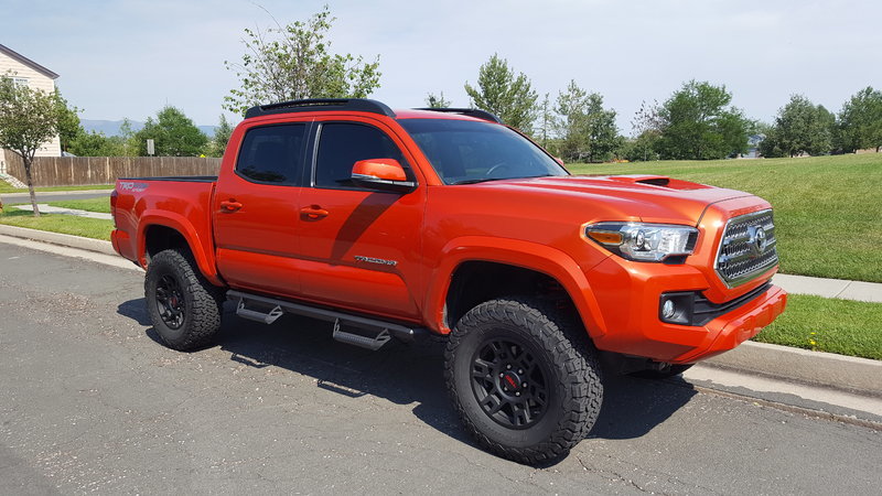 TACO.jpg