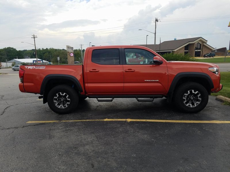 Taco!.jpg