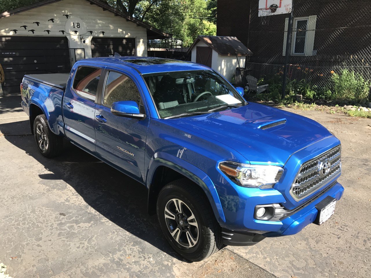 Taco.jpg