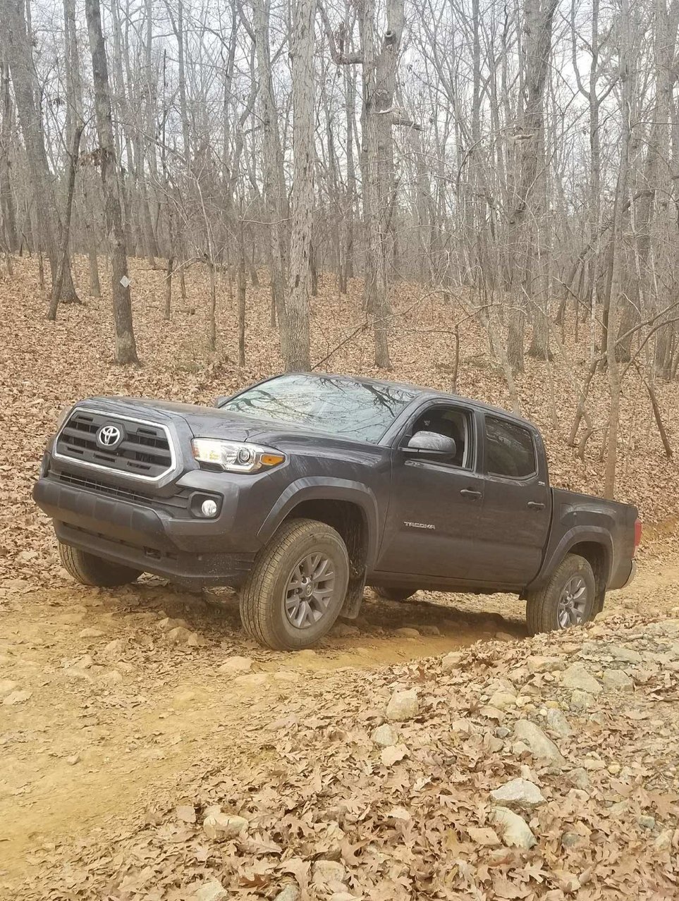 Taco.jpg