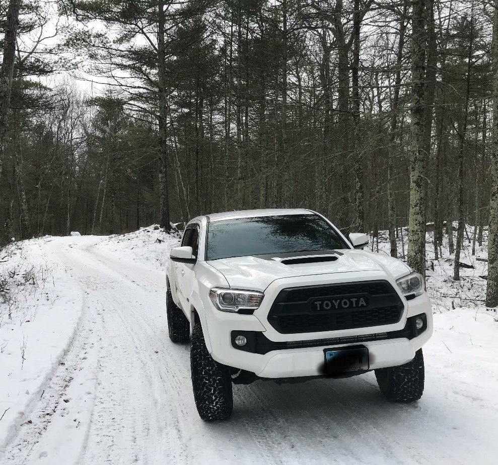 3rd Gen TRD Pro Style Hood Scoop Decal Shipping now ...