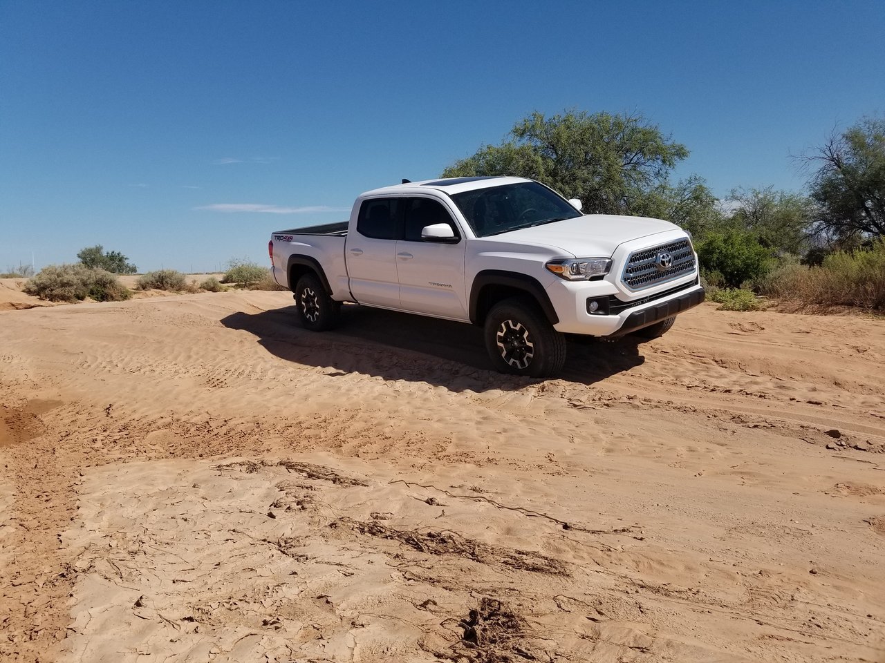 taco.jpg