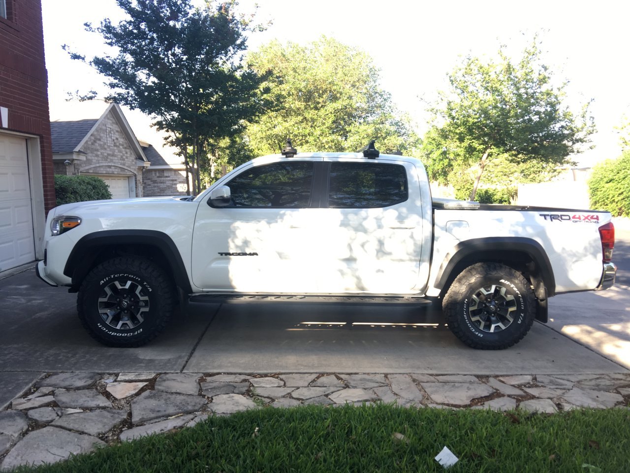 Taco.jpg