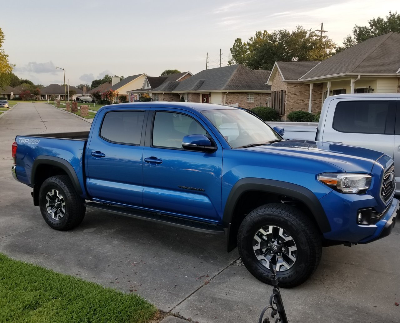 Taco.jpg