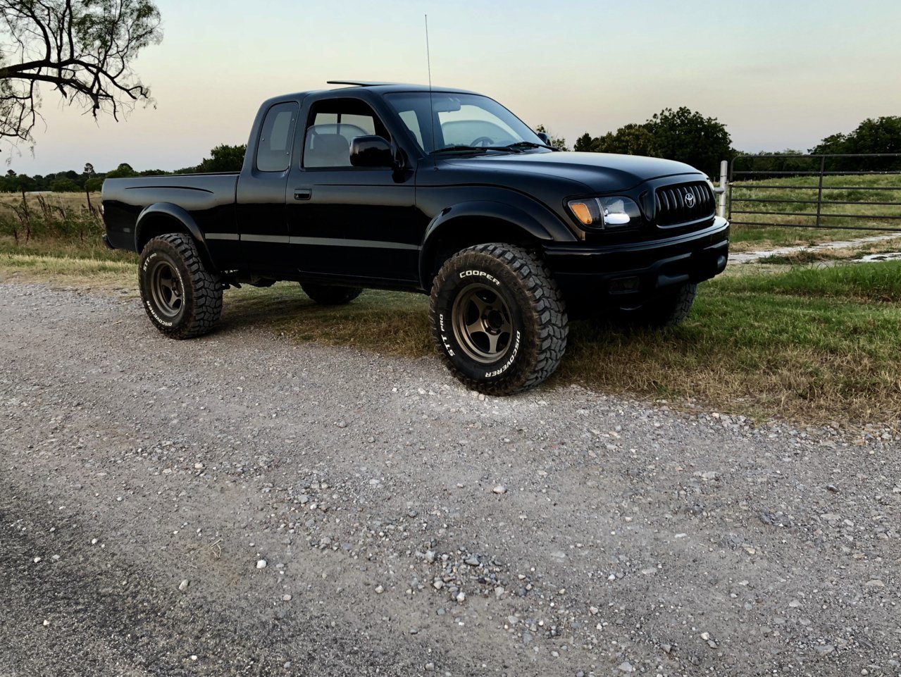 Taco @.jpg
