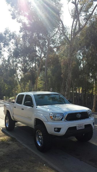 Taco.jpg