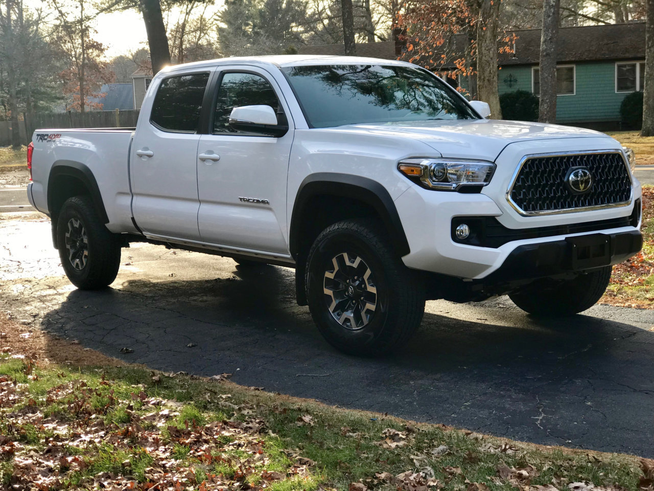 TACO.jpg