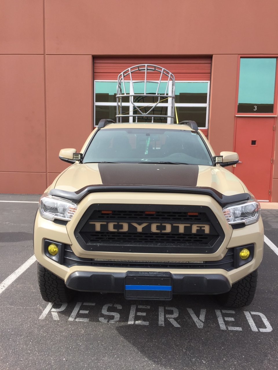 TACO.jpg