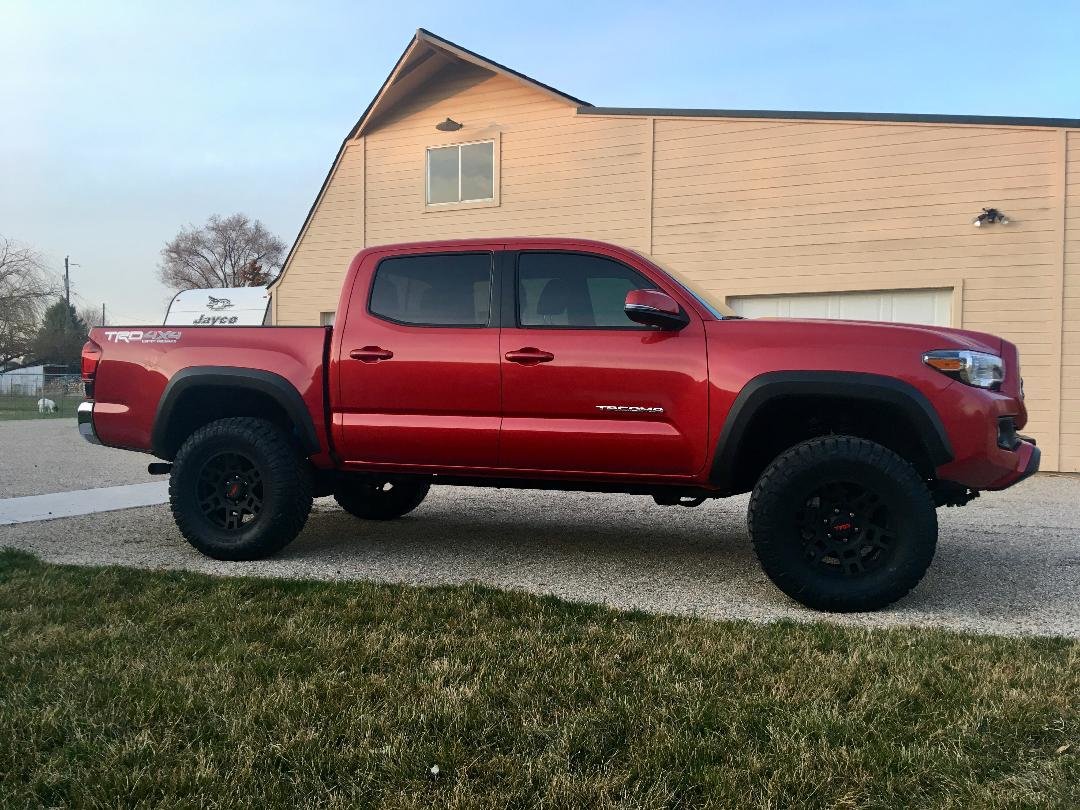 Taco.jpg