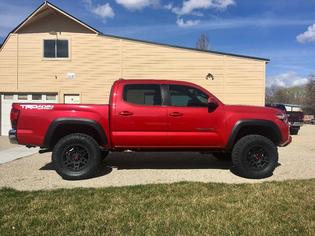 Taco.jpg