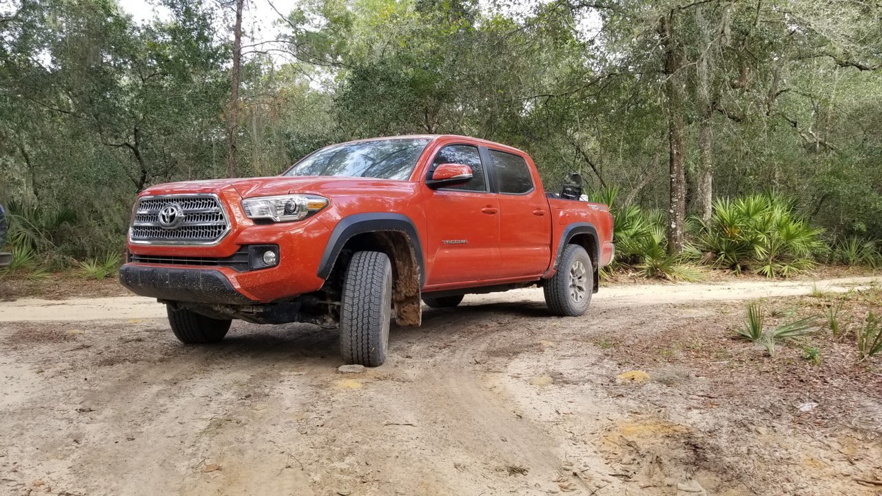 Taco.jpg