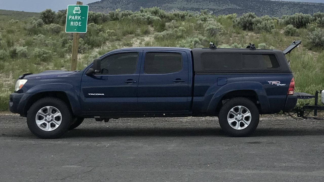 Taco.jpg