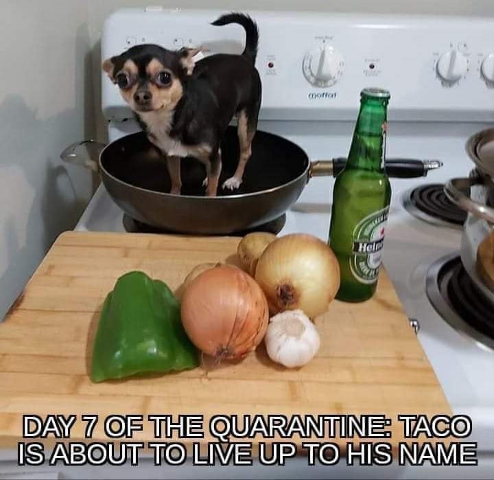 taco.jpg
