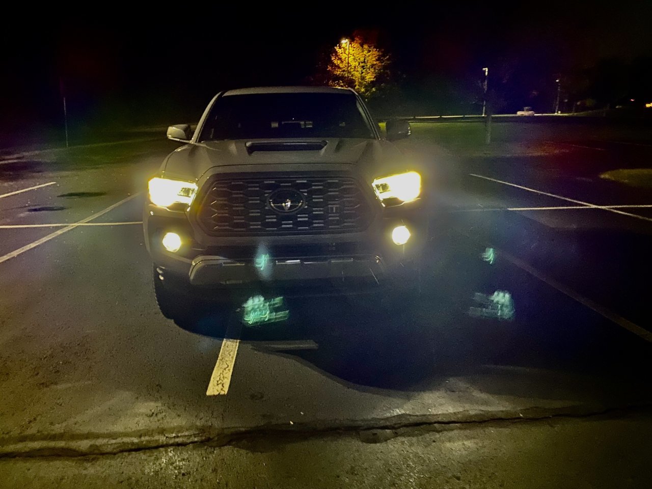 Taco LED lights.jpg