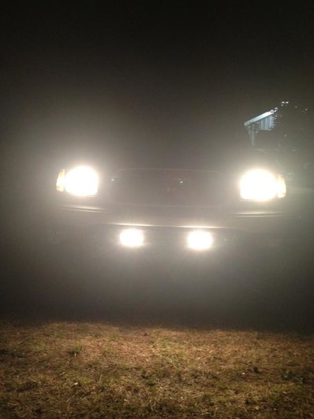 taco lights.jpg