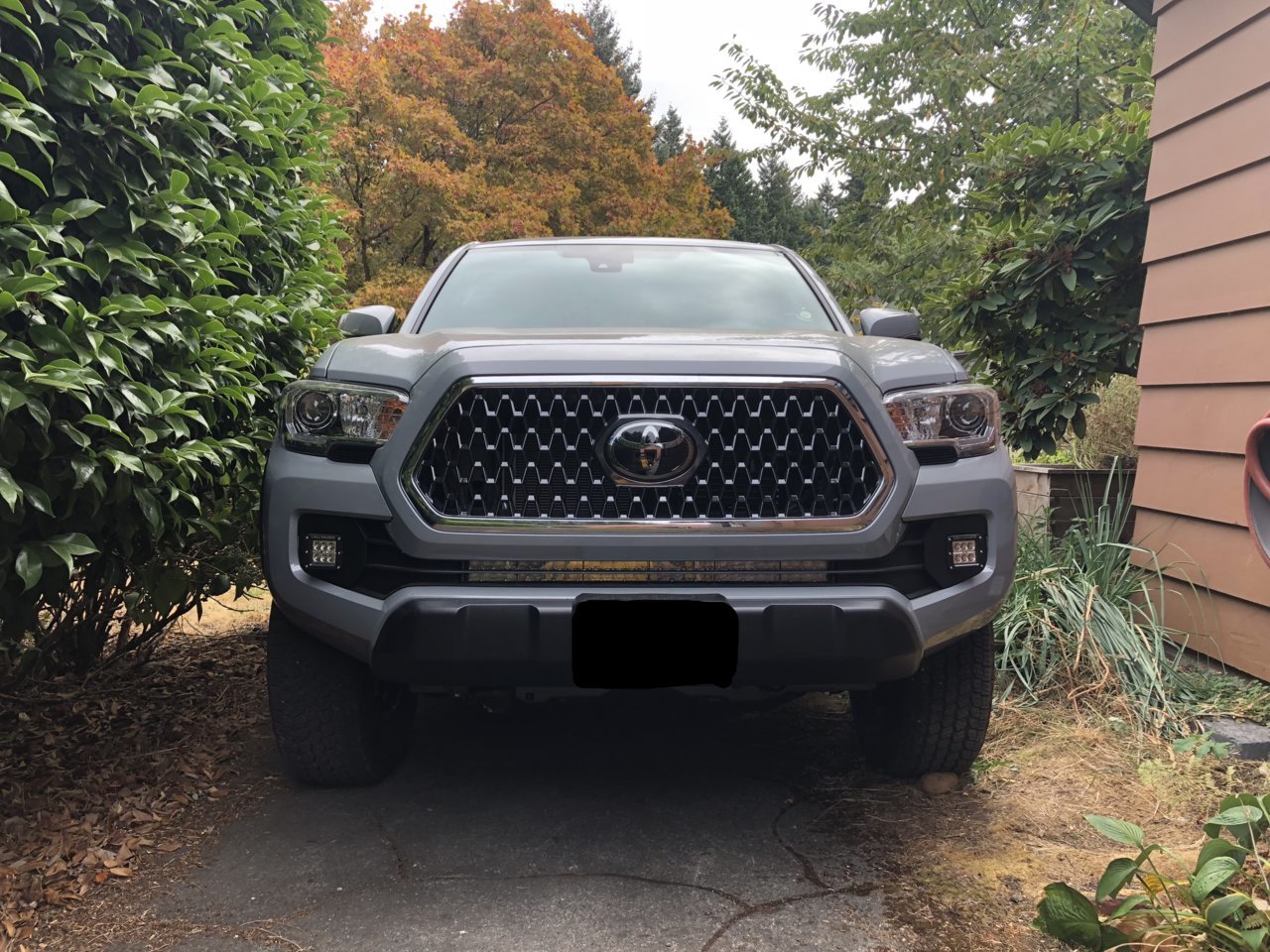 Taco lights.jpg
