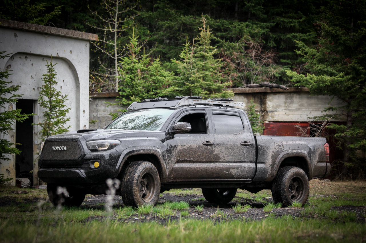 TACO MINE (1 of 1).jpg