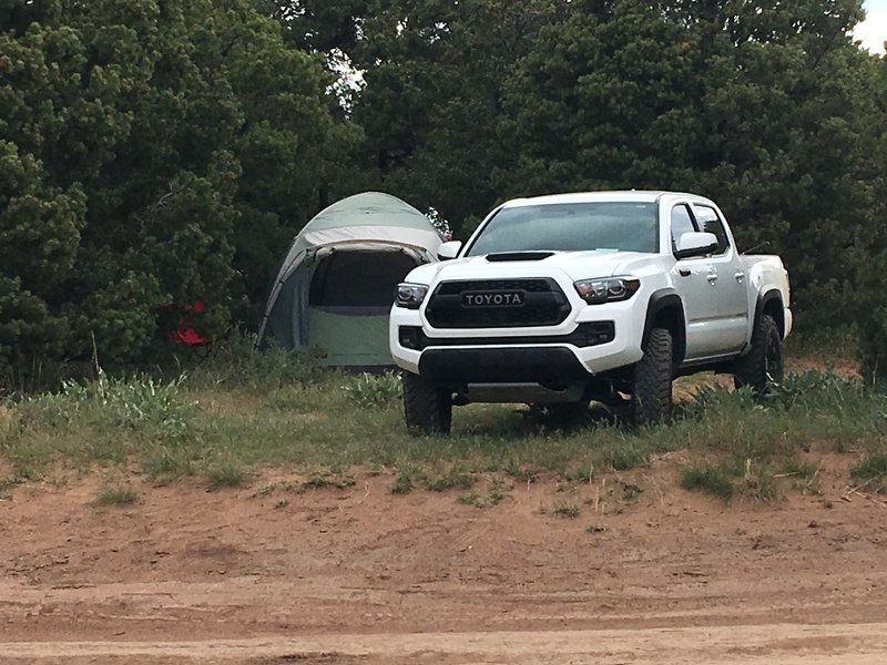 Taco Moab #1.jpg