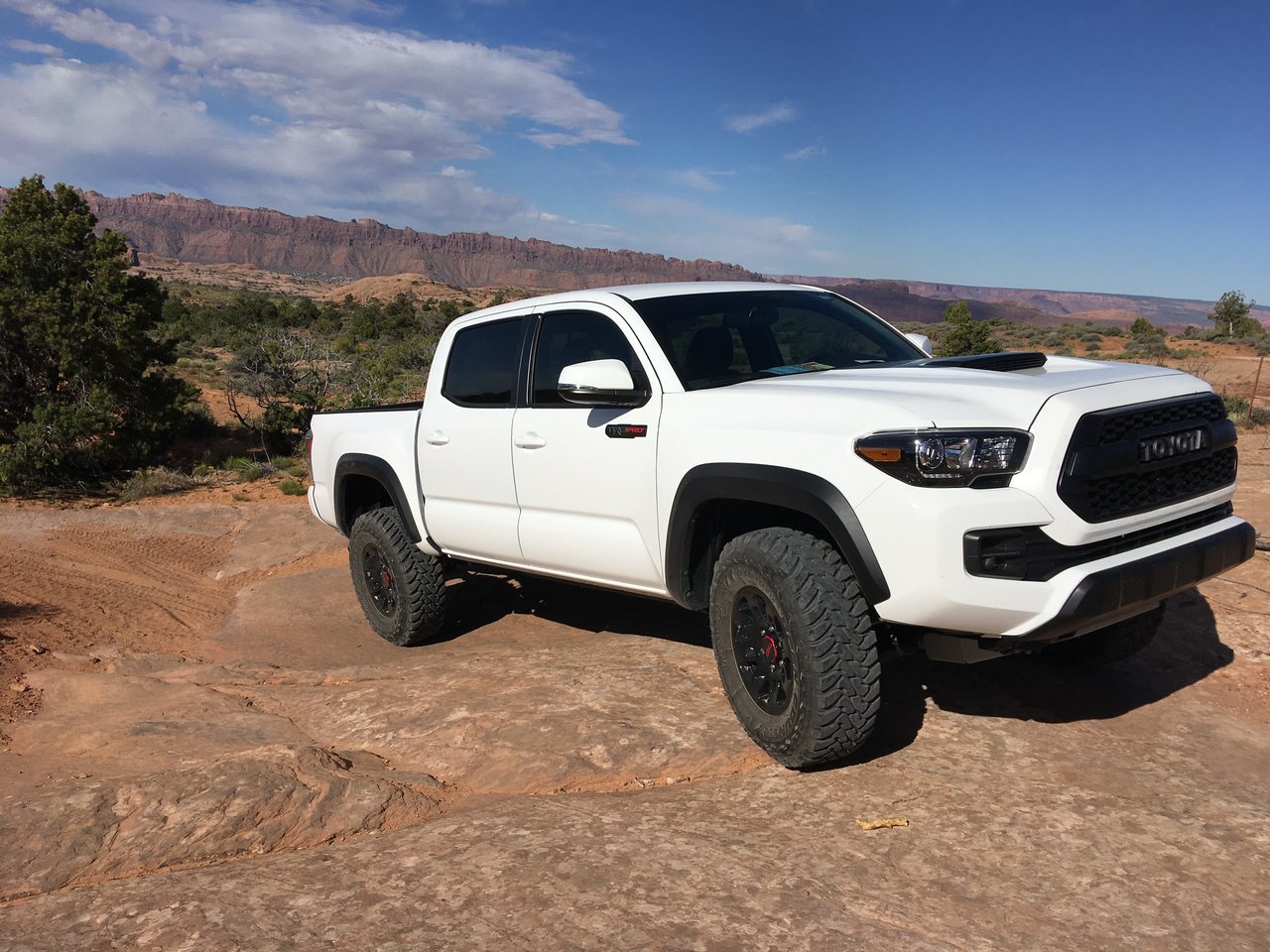 Taco Moab #2.jpg