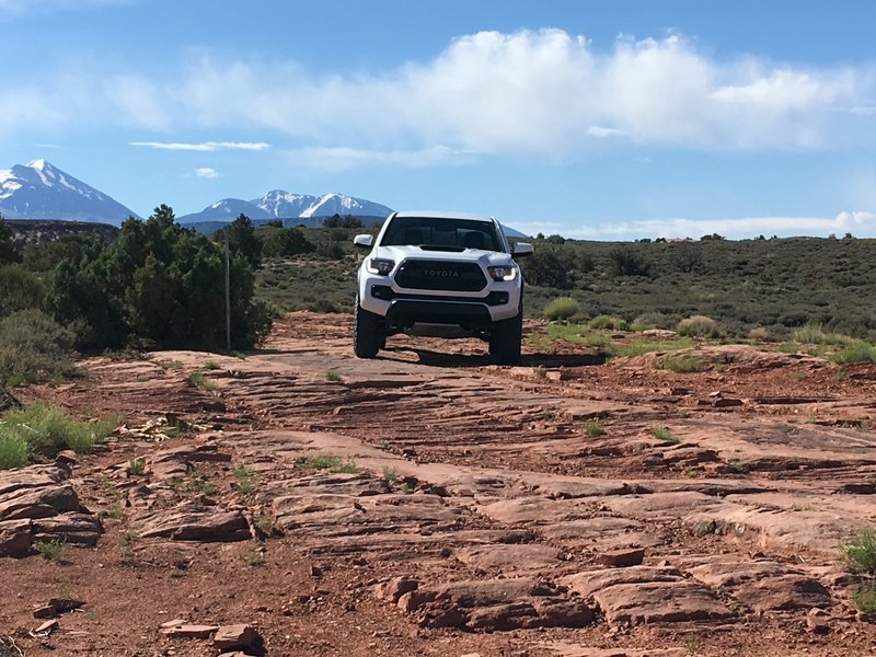 Taco Moab #4.jpg