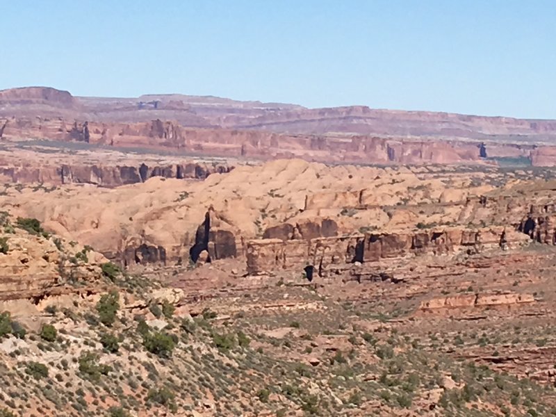 Taco Moab #5.jpg