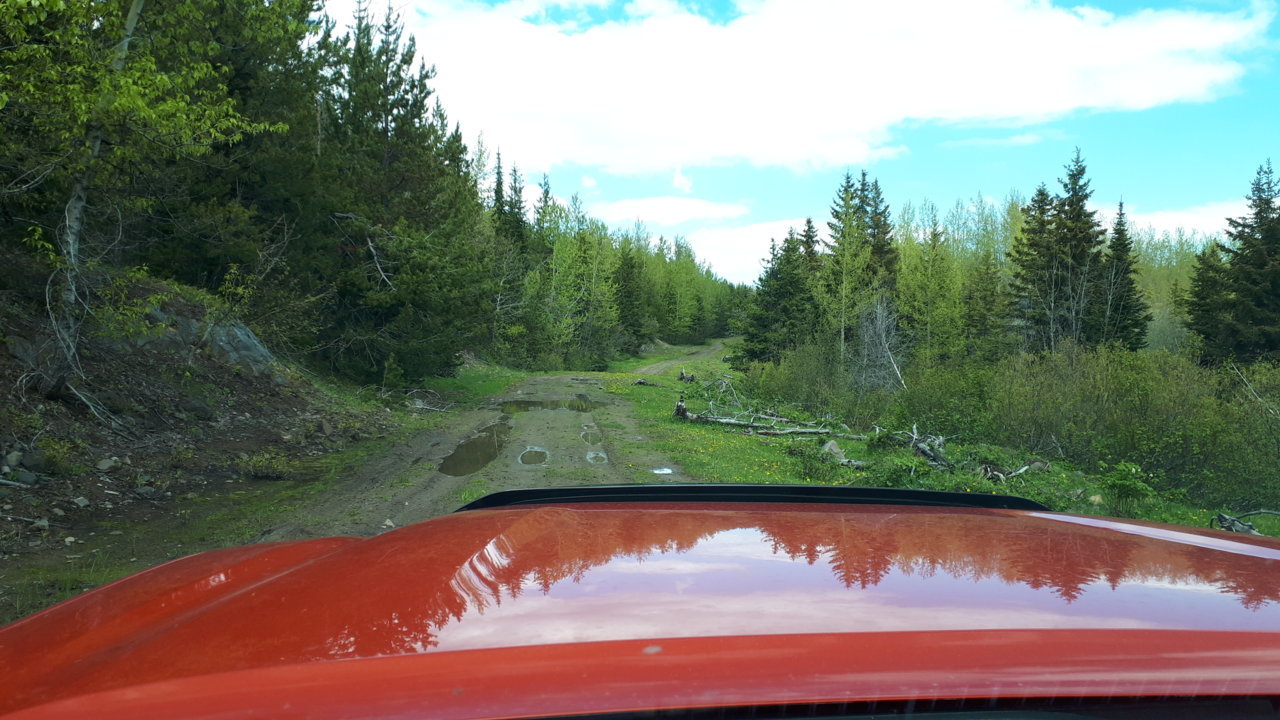 taco-mudtrail.jpg