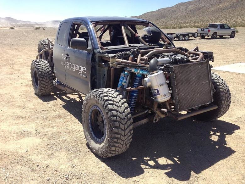 Taco naked front.jpg
