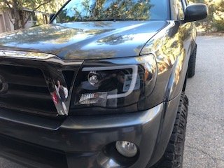 Taco New Light.jpg