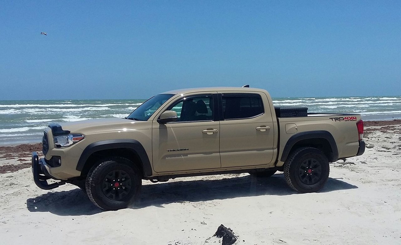 taco on the beach1.jpg