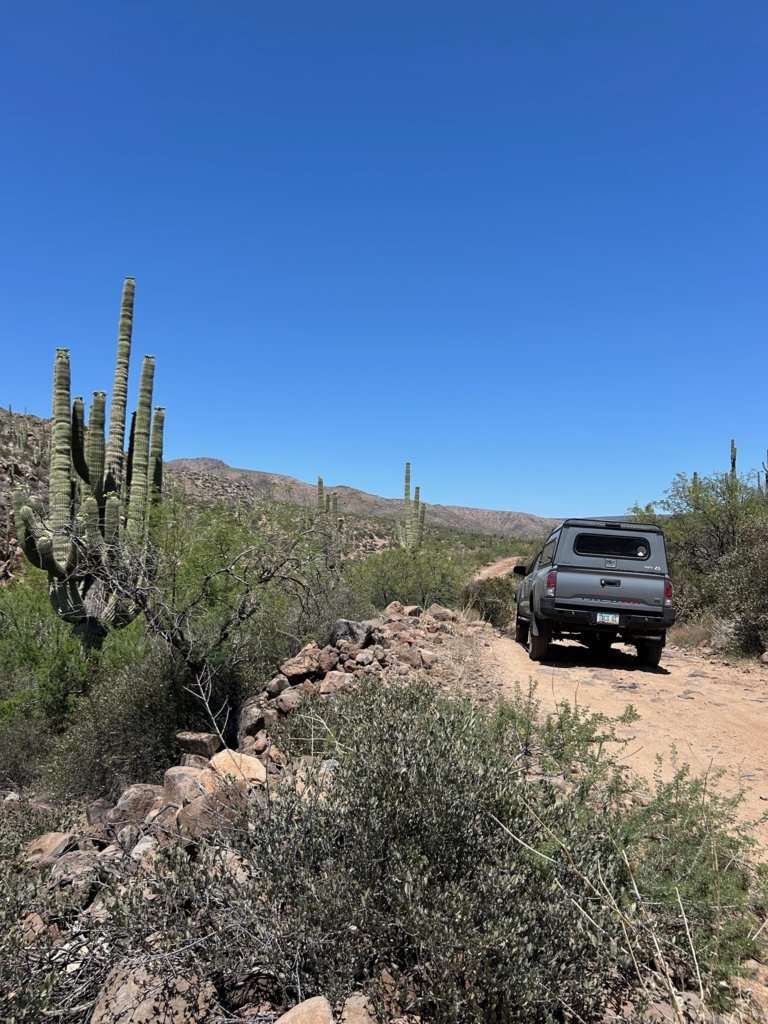 Taco on Trail.jpg