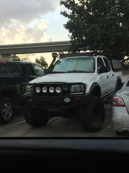 Taco Outside Cigar Shop.jpg