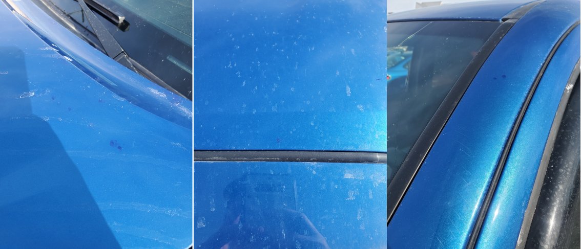 taco paint spots.jpg