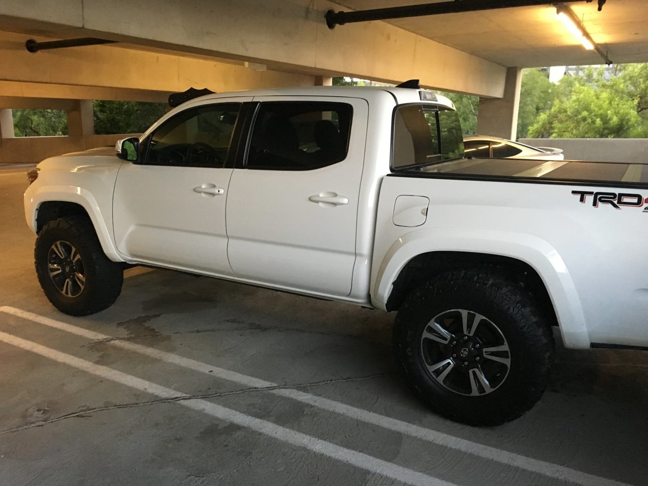 taco parked.jpg