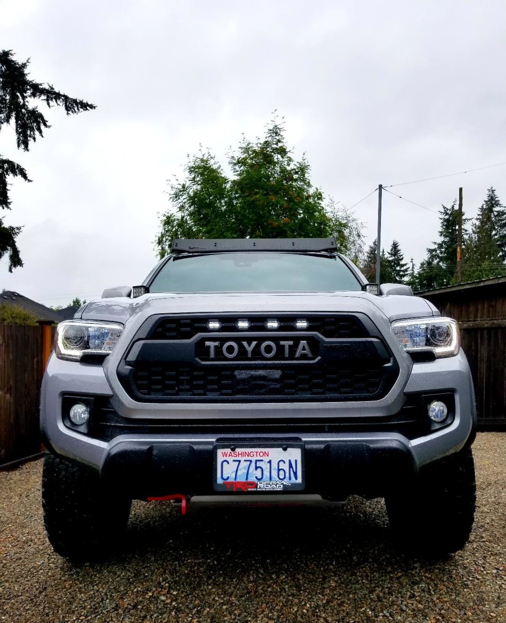 Taco Pic 31.jpg