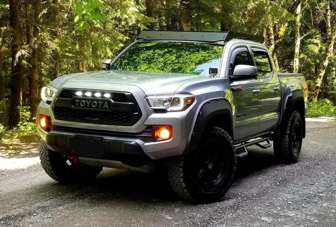 Taco Pic 50.jpg