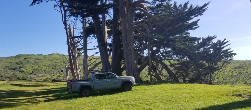 Taco Pt. Reyes.jpg