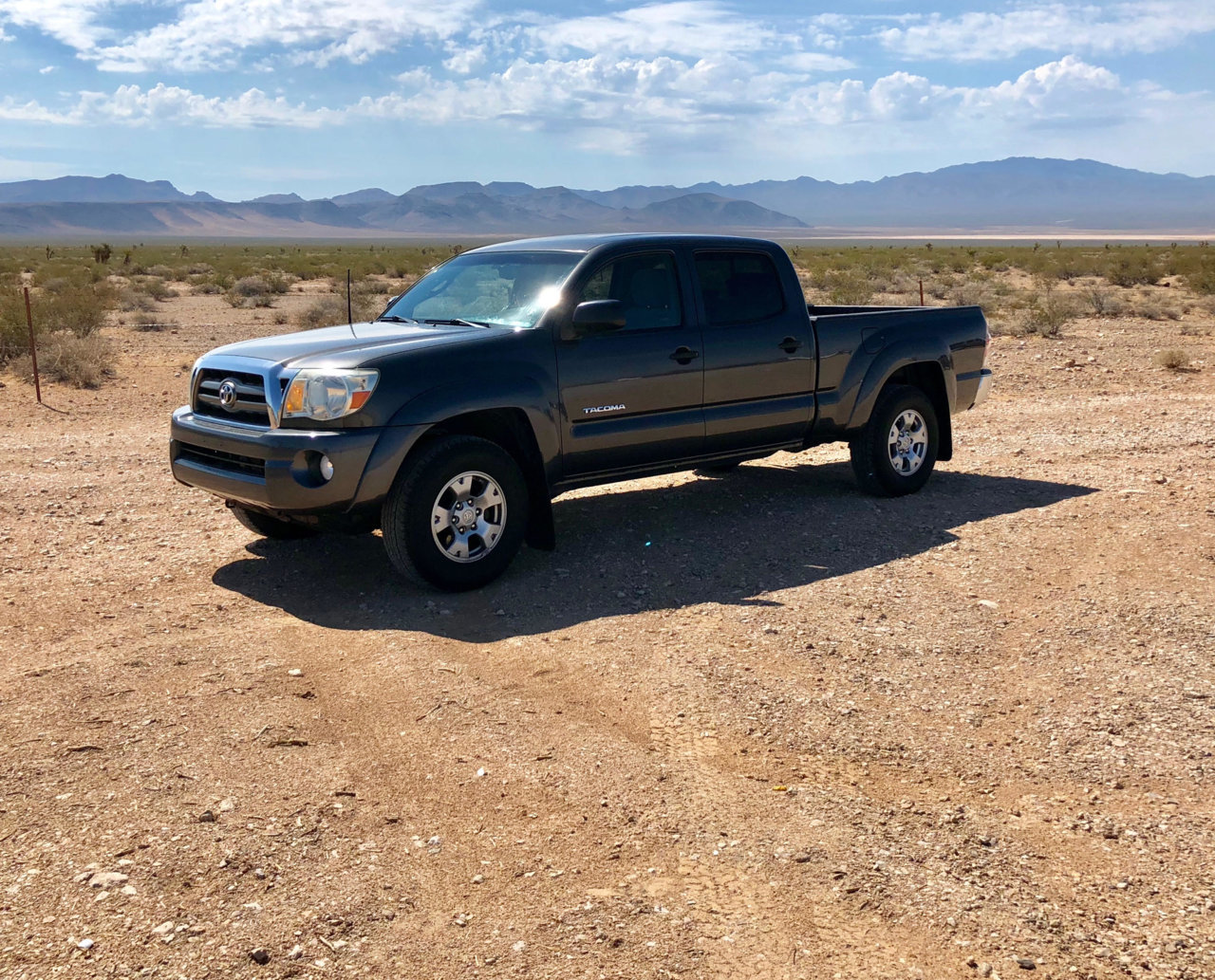 Taco quarter angle.jpg
