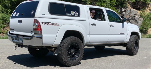 Taco Rainier1.jpg