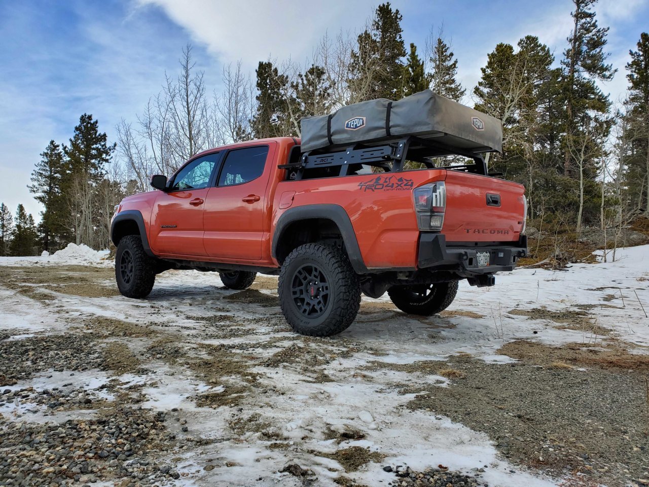Taco rear.jpg