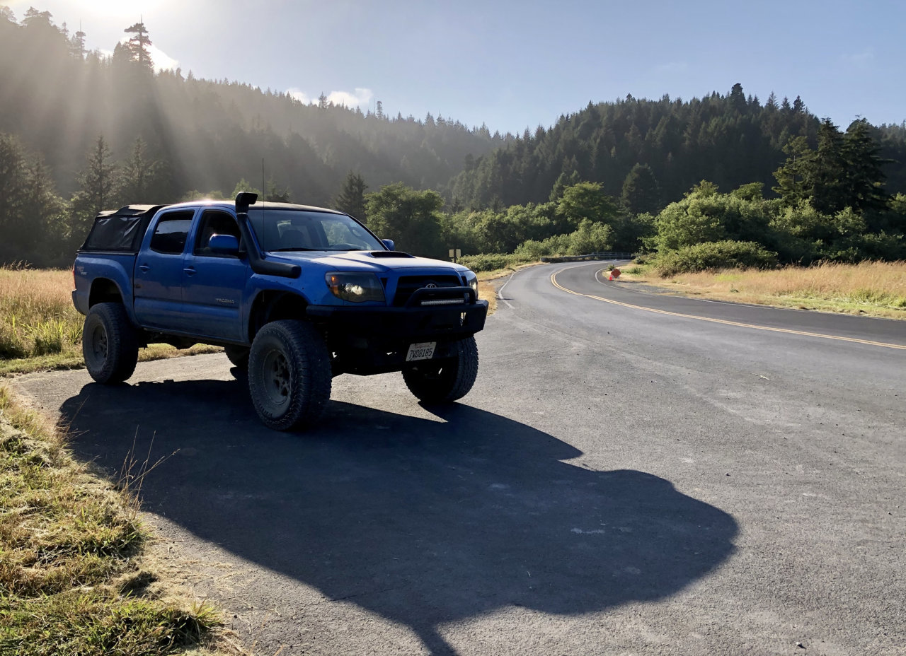 taco redwoods.jpg