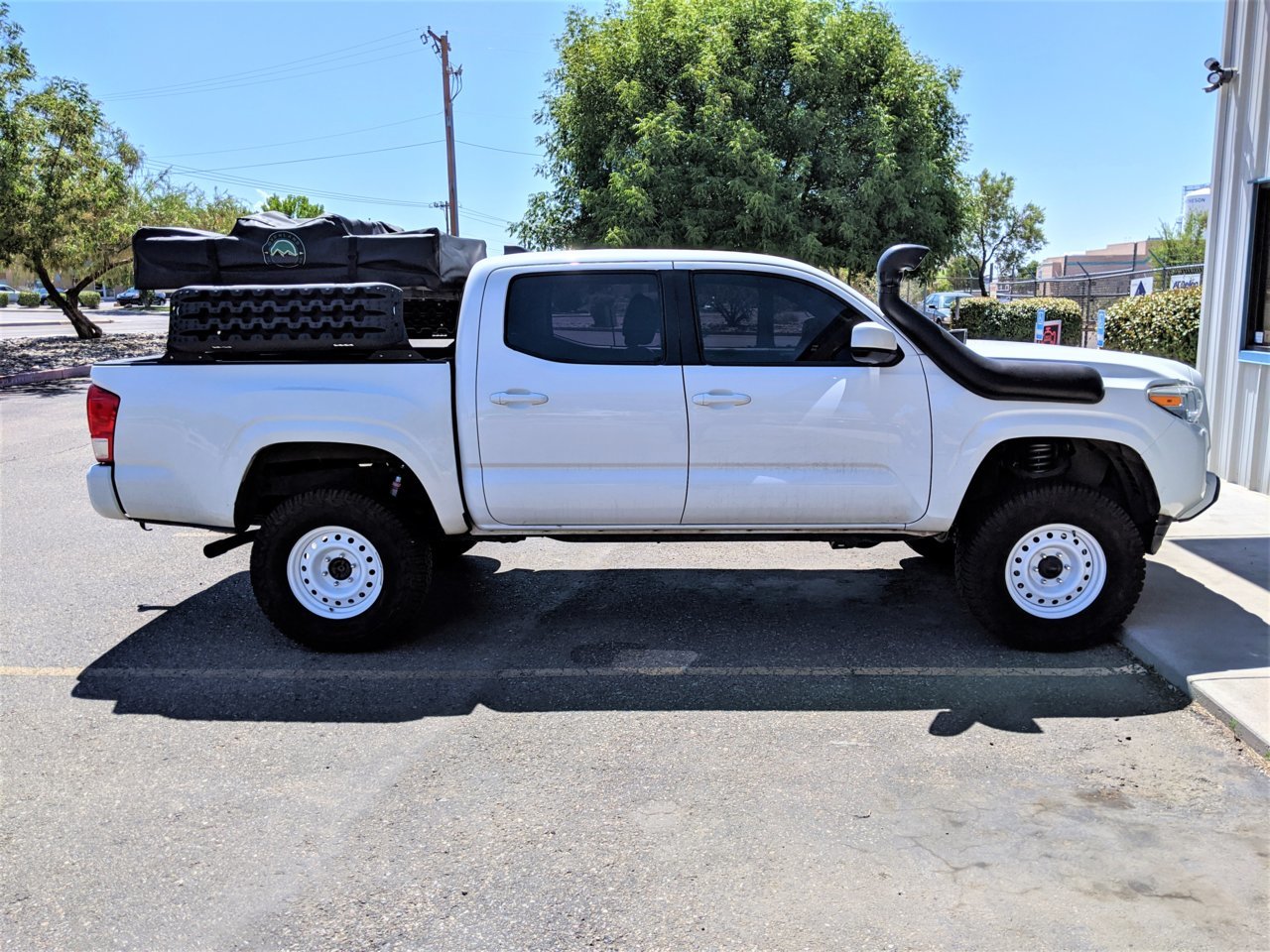 taco-rex2.jpg