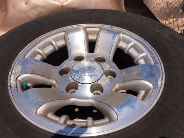 Taco Rim.jpg