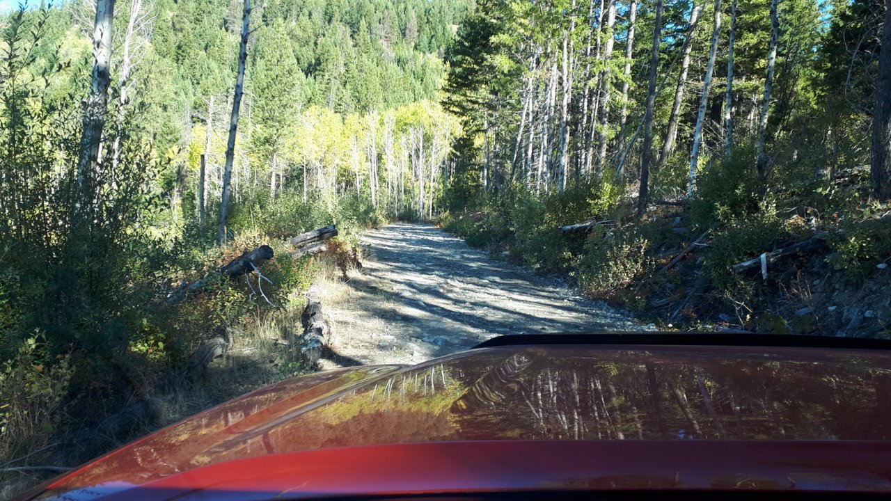 taco-road-up.jpg