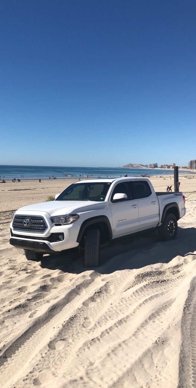 Taco rocky pt.jpg