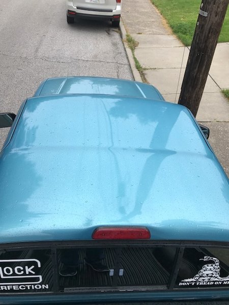 taco roof.jpg