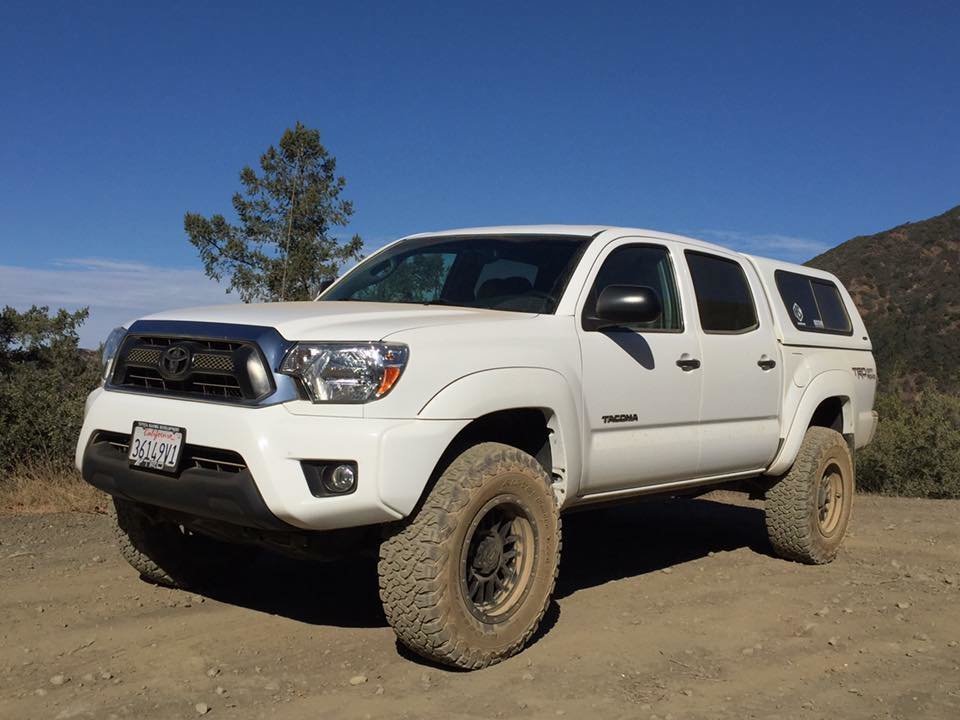 taco Saddleback1.jpg