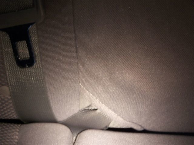 Taco seatbelt.jpg