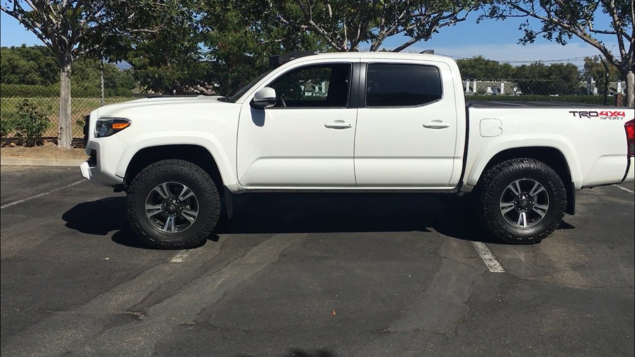 taco side view.jpg