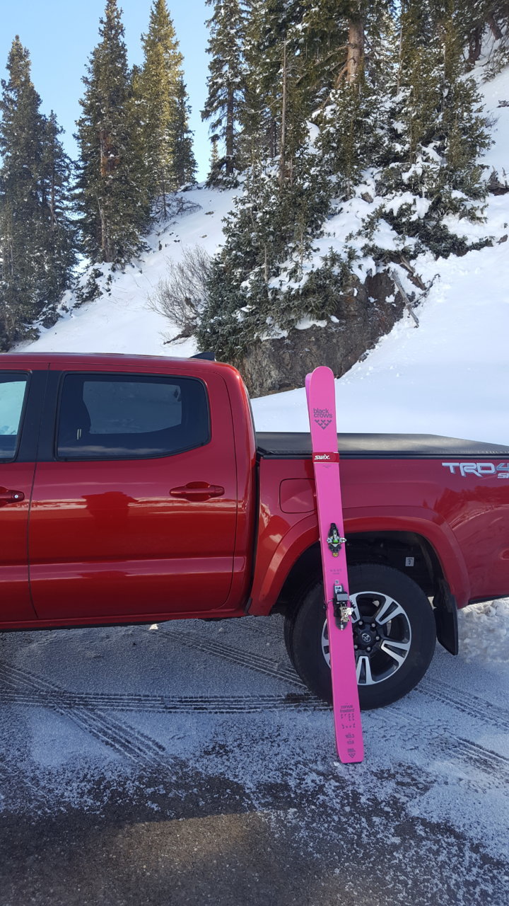 Taco:ski.jpg