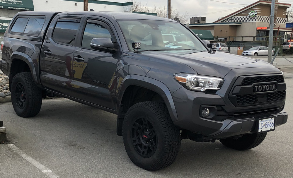 Taco SM.jpg
